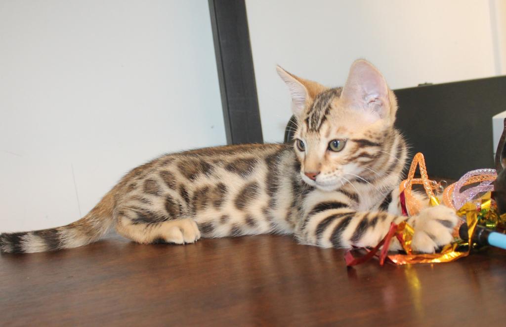 Chance photo 6
