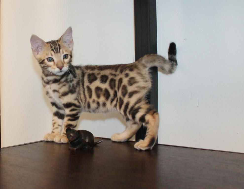 Chance photo 4