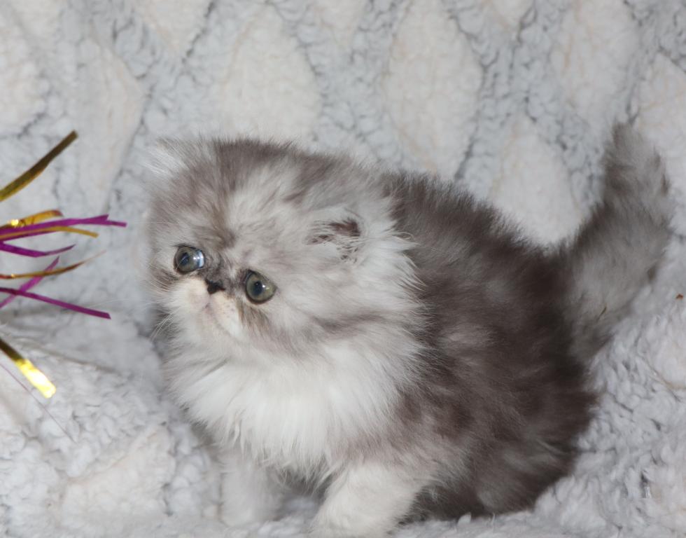 Axel photo 3