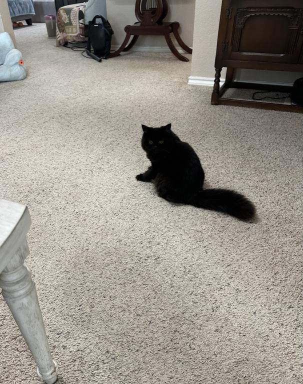 Miss Millie photo 5