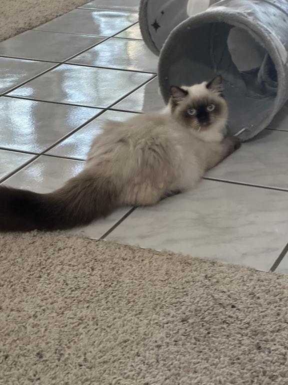 Miss Millie photo 3