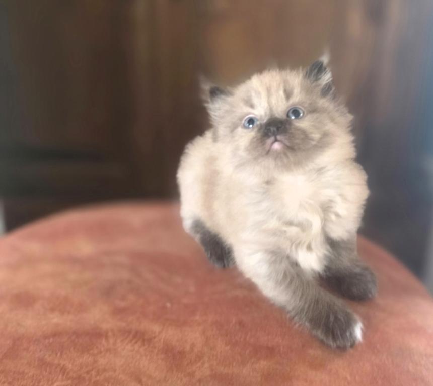 Charlie