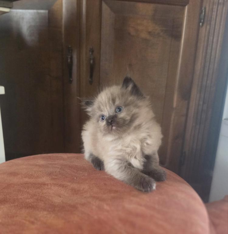 Charlie photo 2