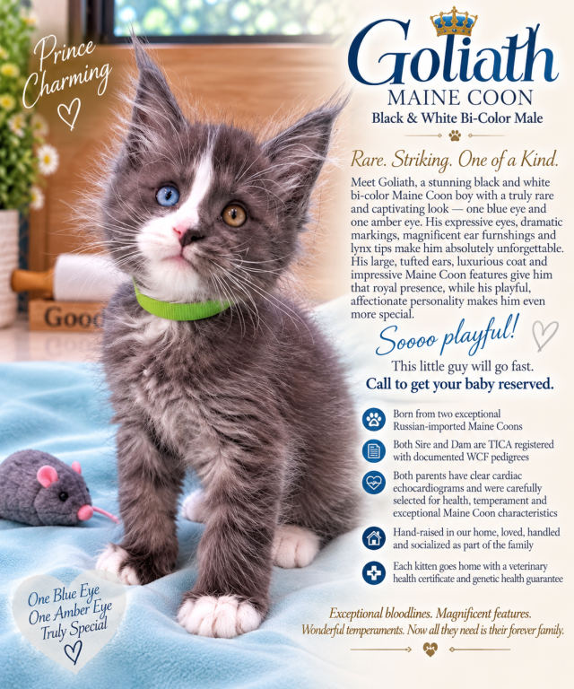 Goliath             Crème De La Crème Litter Green photo 2