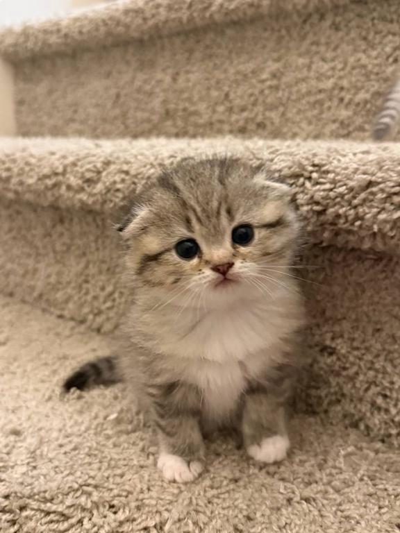 Maya photo 4