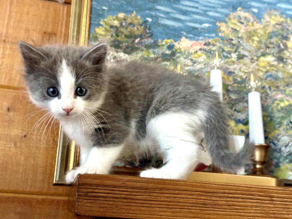 Blueboy photo 6