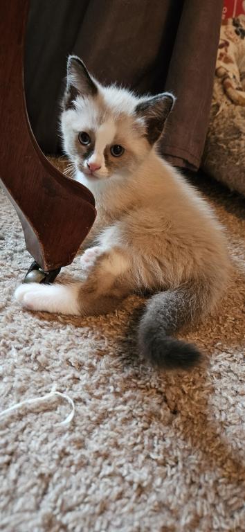 Wyatt photo 4