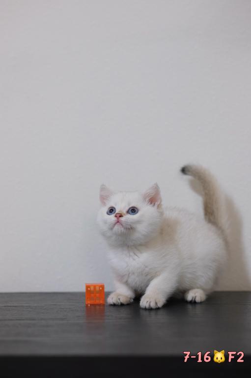Lilly photo 7
