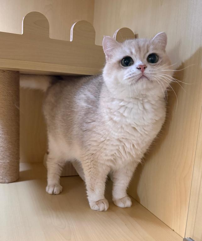 Kiki photo 1