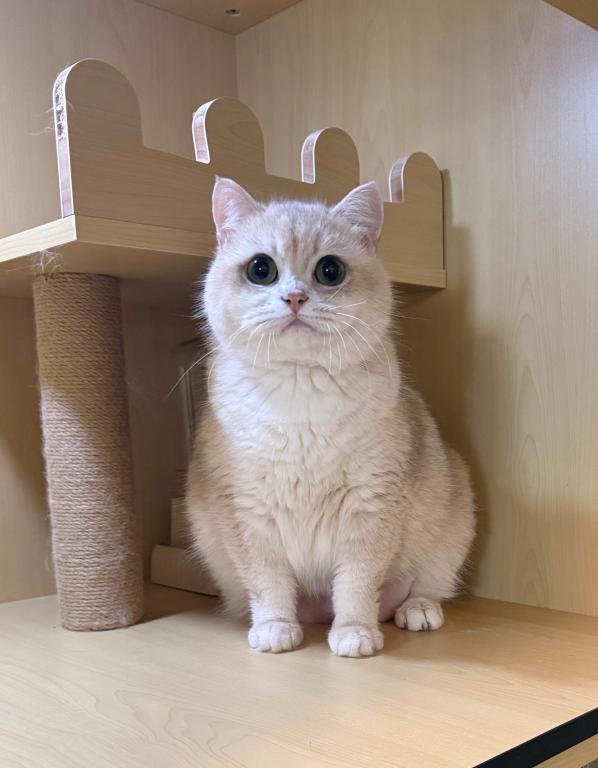 Kiki photo 2