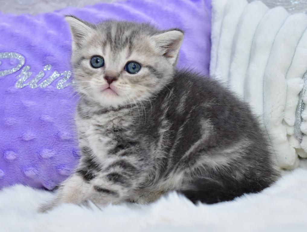 Luna photo 7