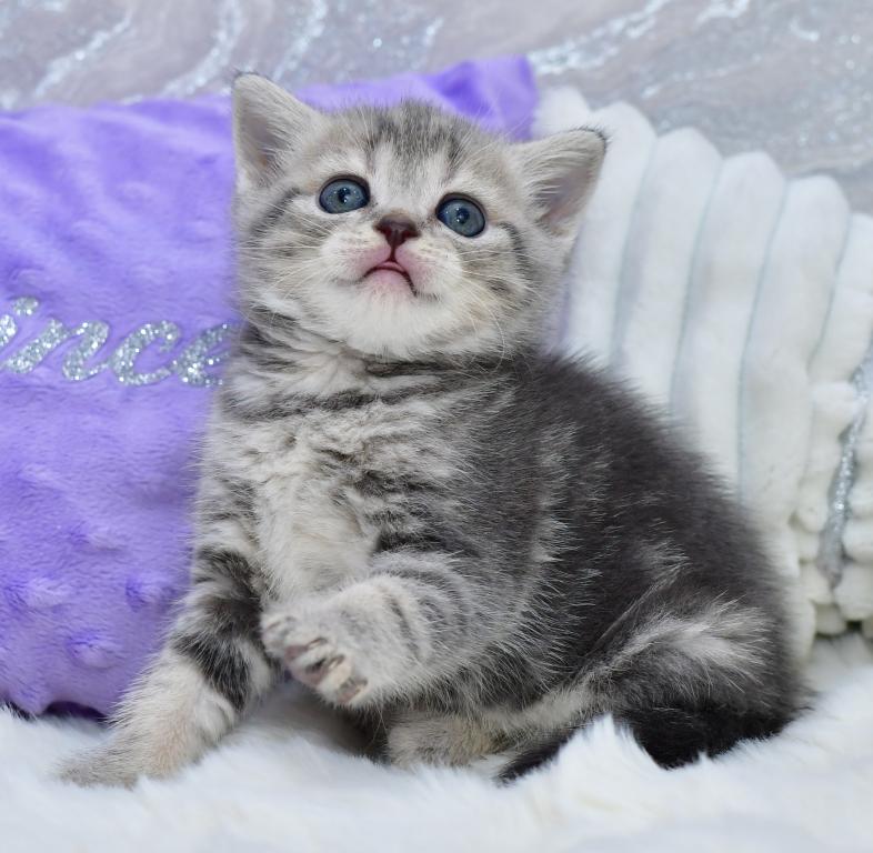 Luna photo 5