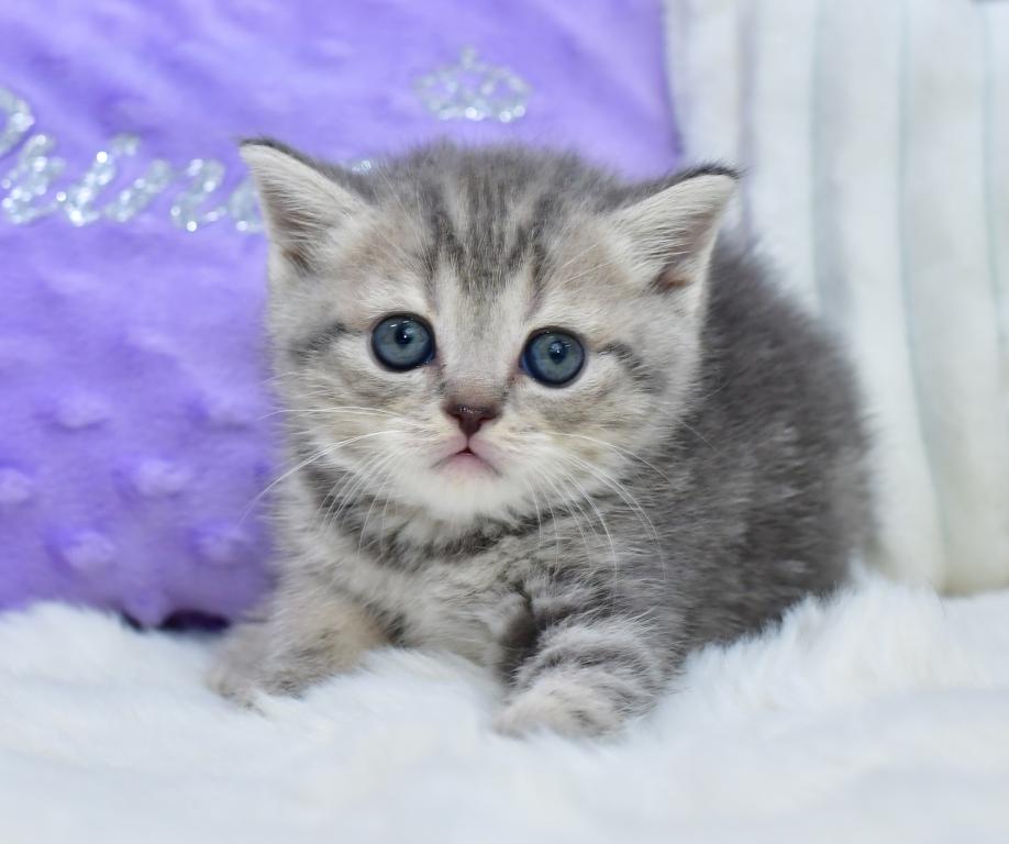 Luna photo 9