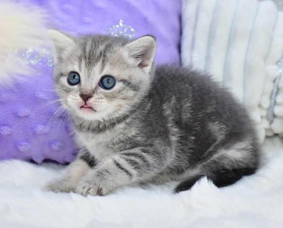 Luna photo 4