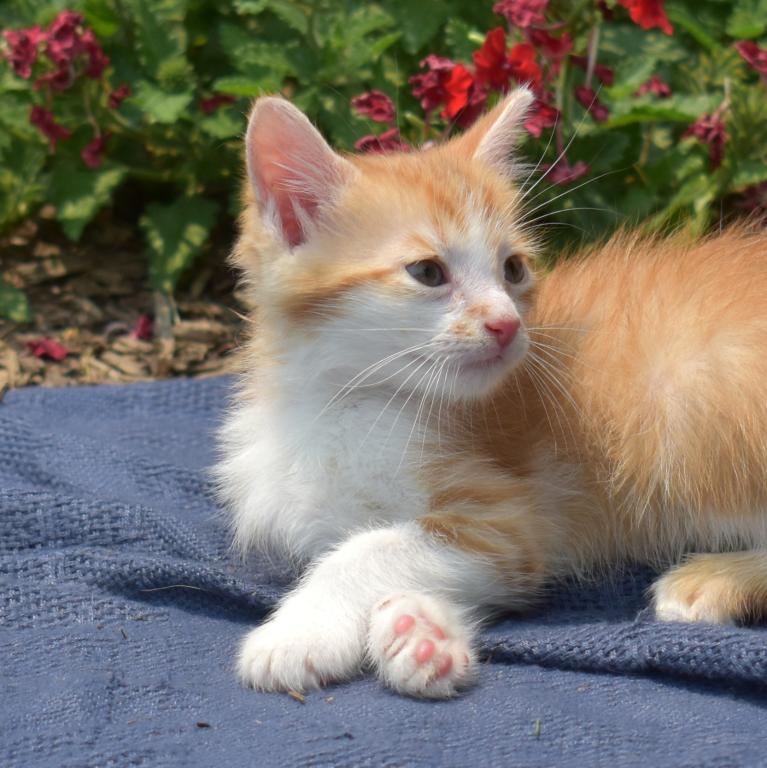 Sonny photo 2