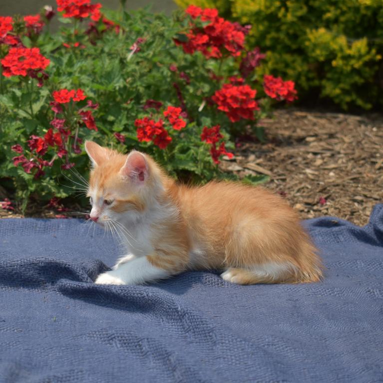 Sonny photo 4