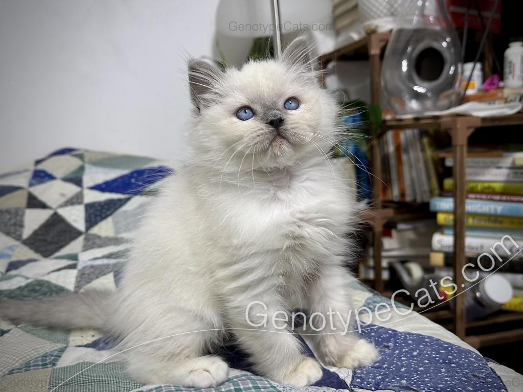 Narcissa photo 5