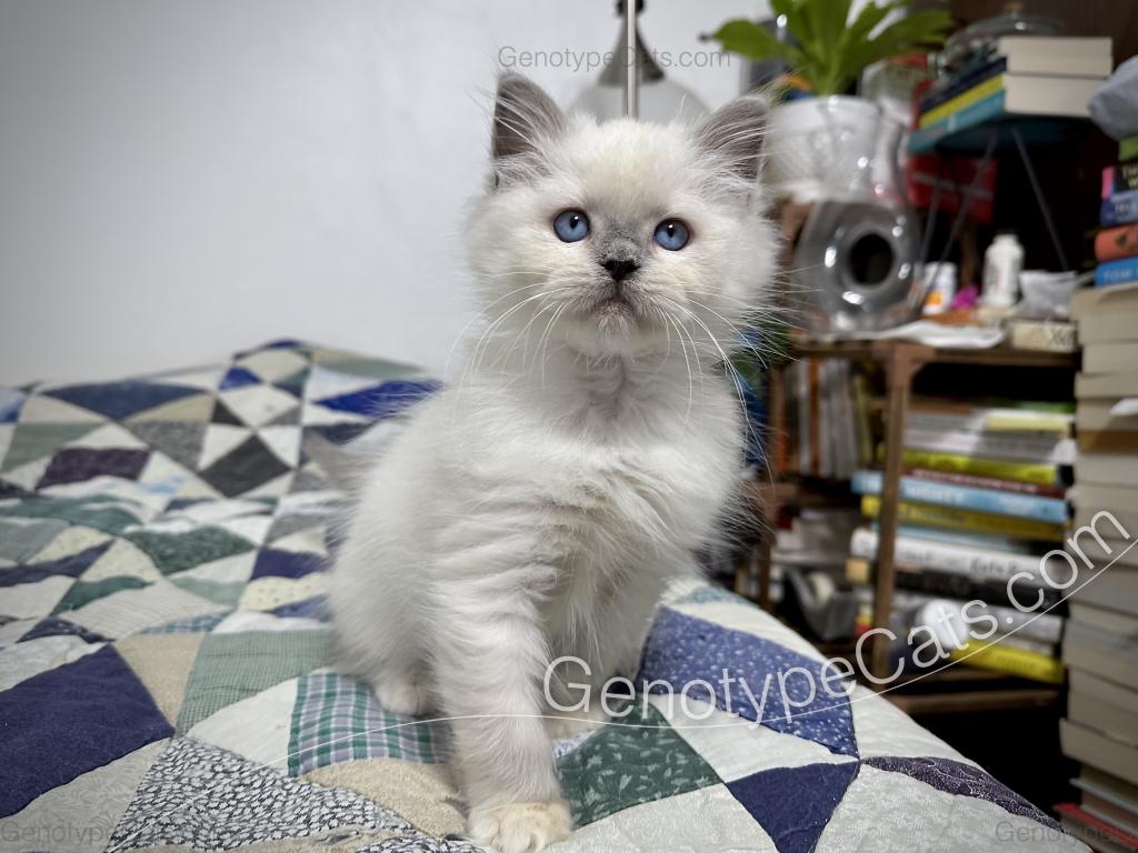 Narcissa photo 10