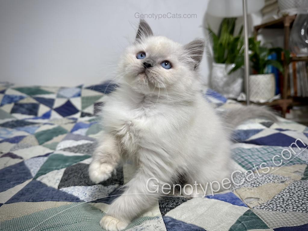 Narcissa photo 12