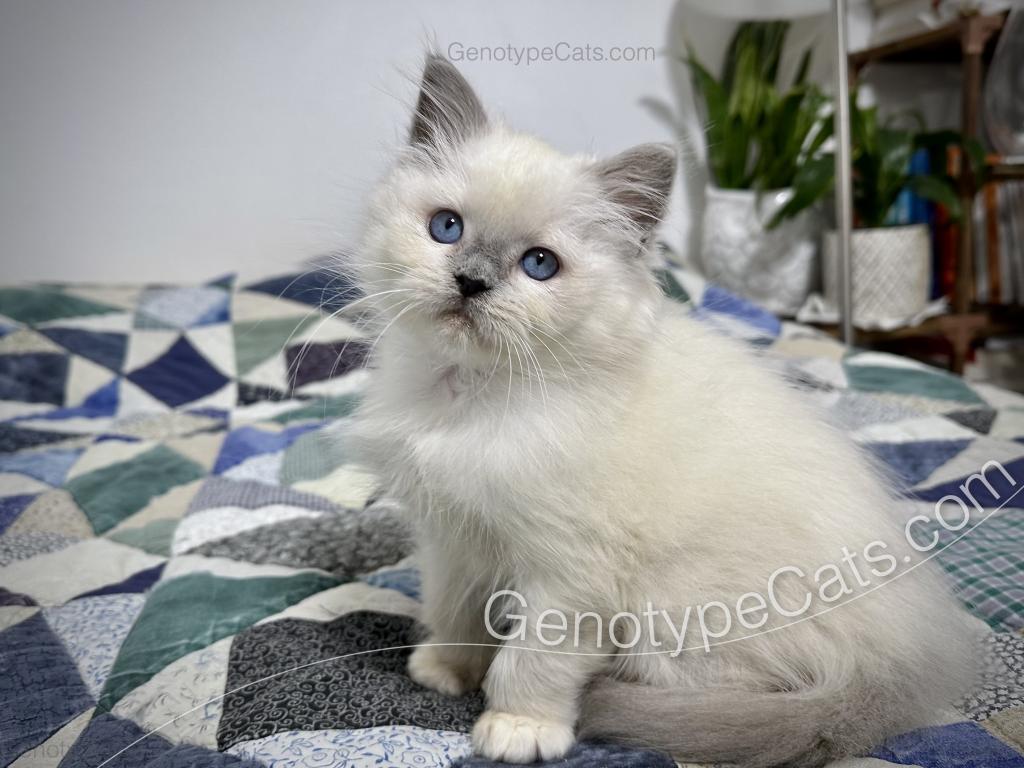 Narcissa photo 1