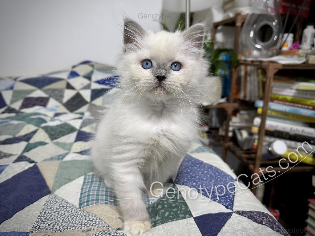 Narcissa photo 9
