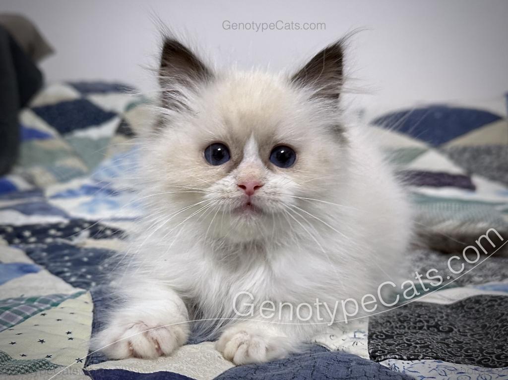 Milly photo 4