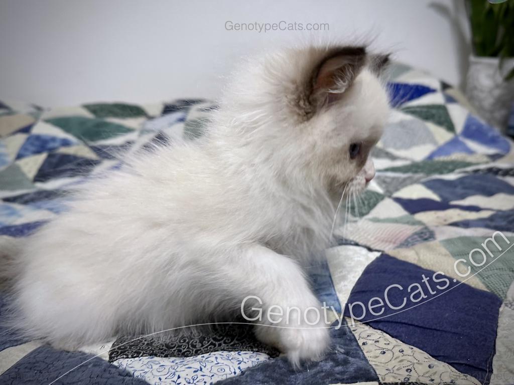 Milly photo 14