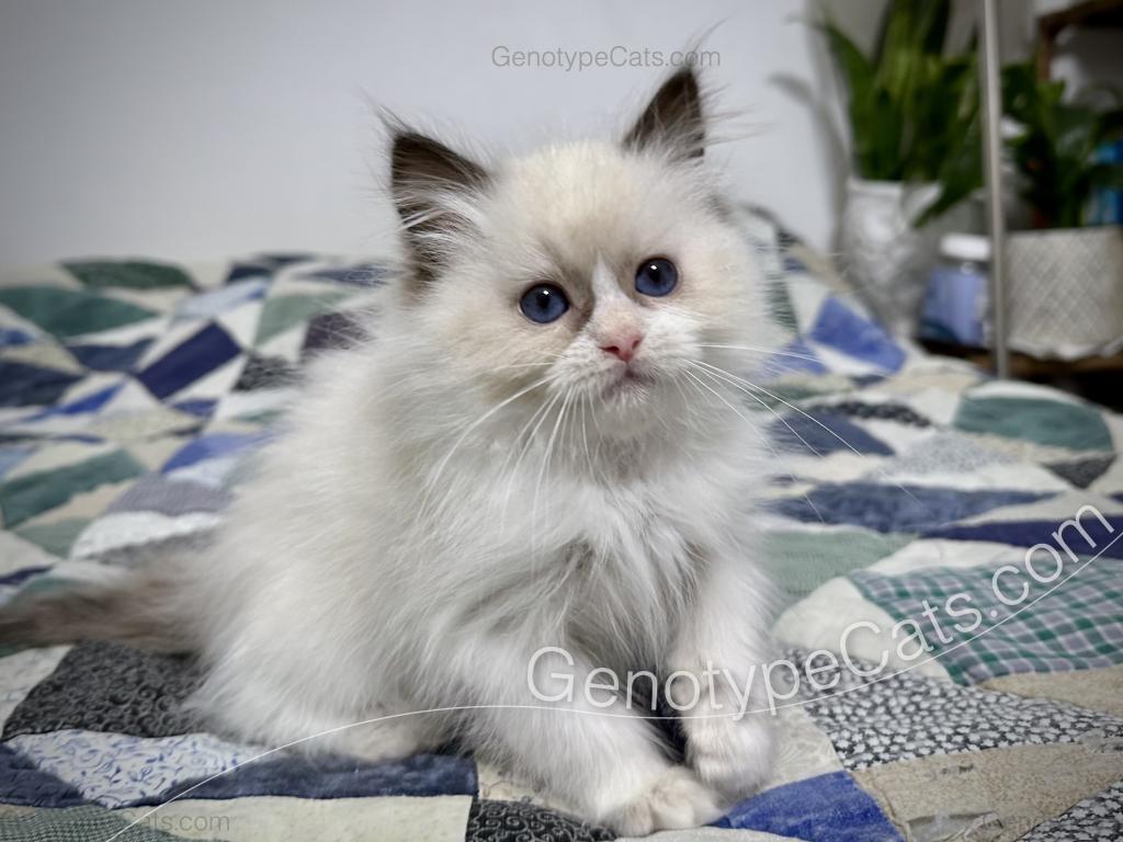 Milly photo 11
