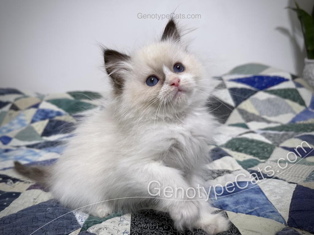 Milly photo 21