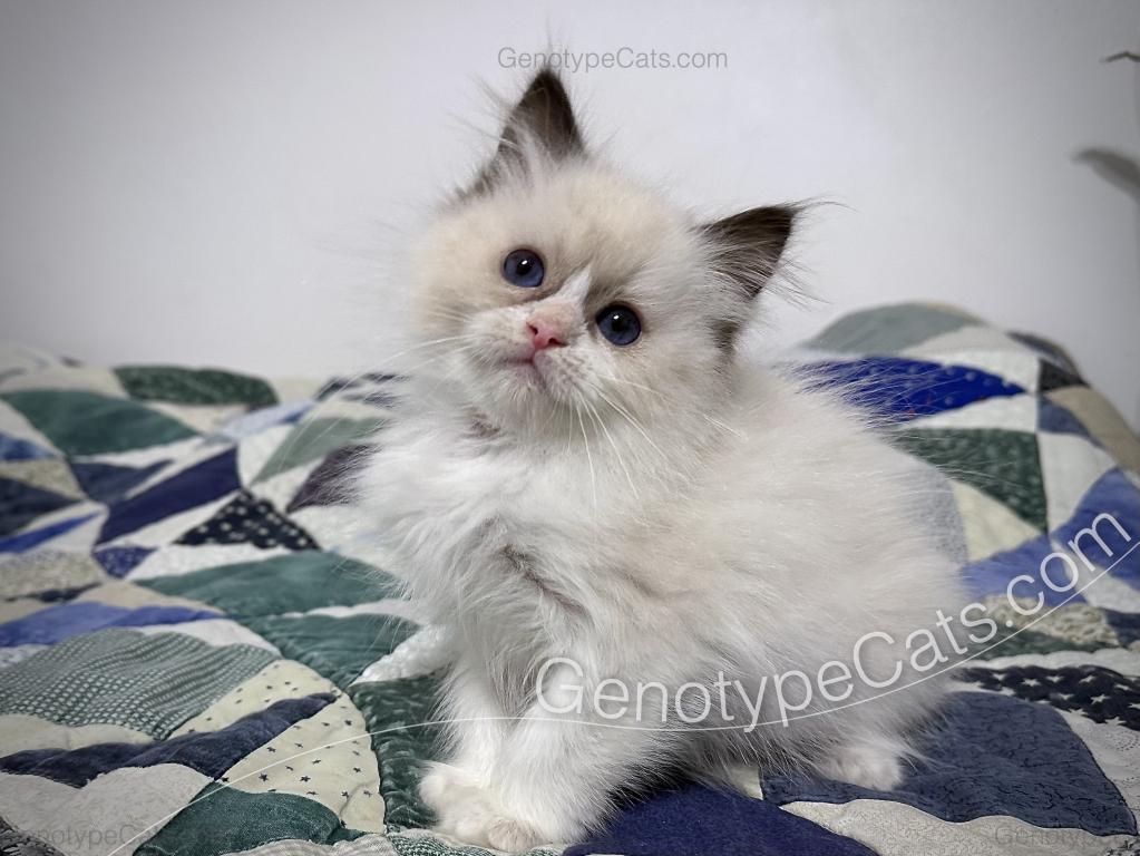 Milly photo 1