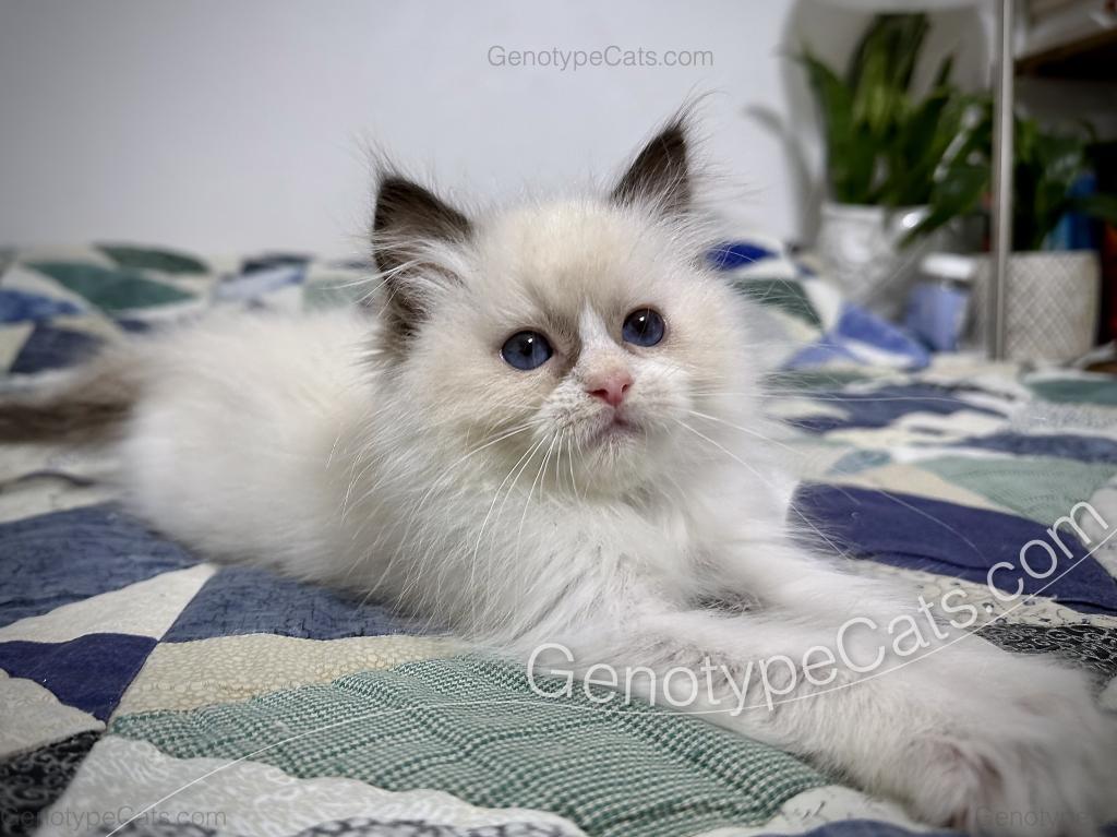 Milly photo 18