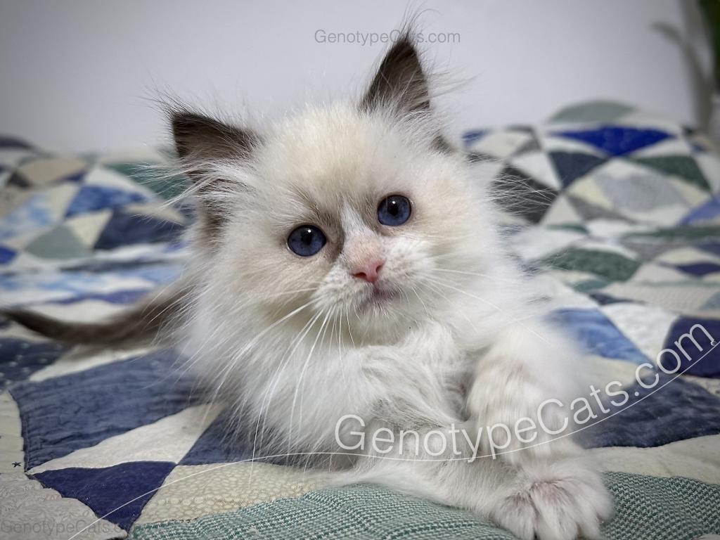Milly photo 16