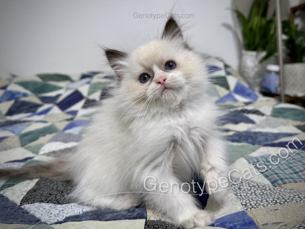 Milly photo 12