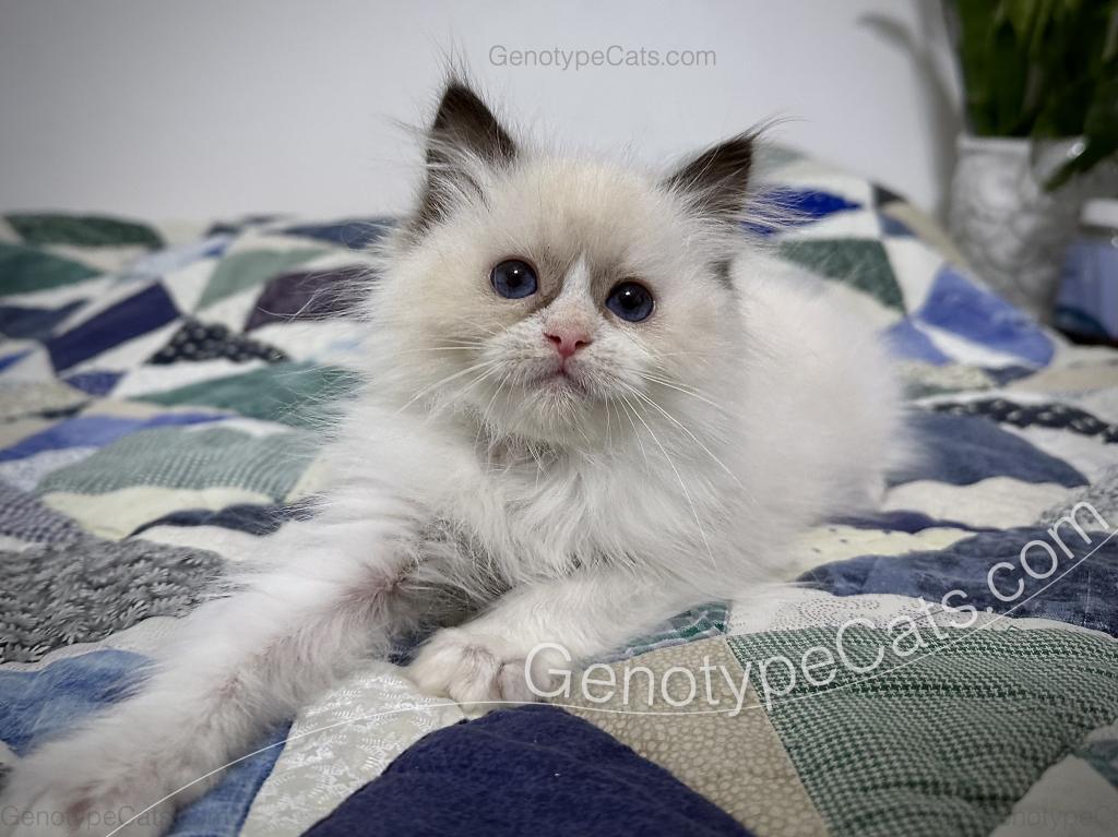 Milly photo 24