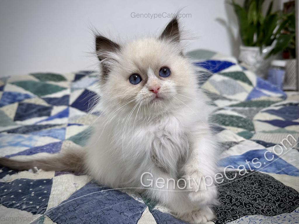 Milly photo 19