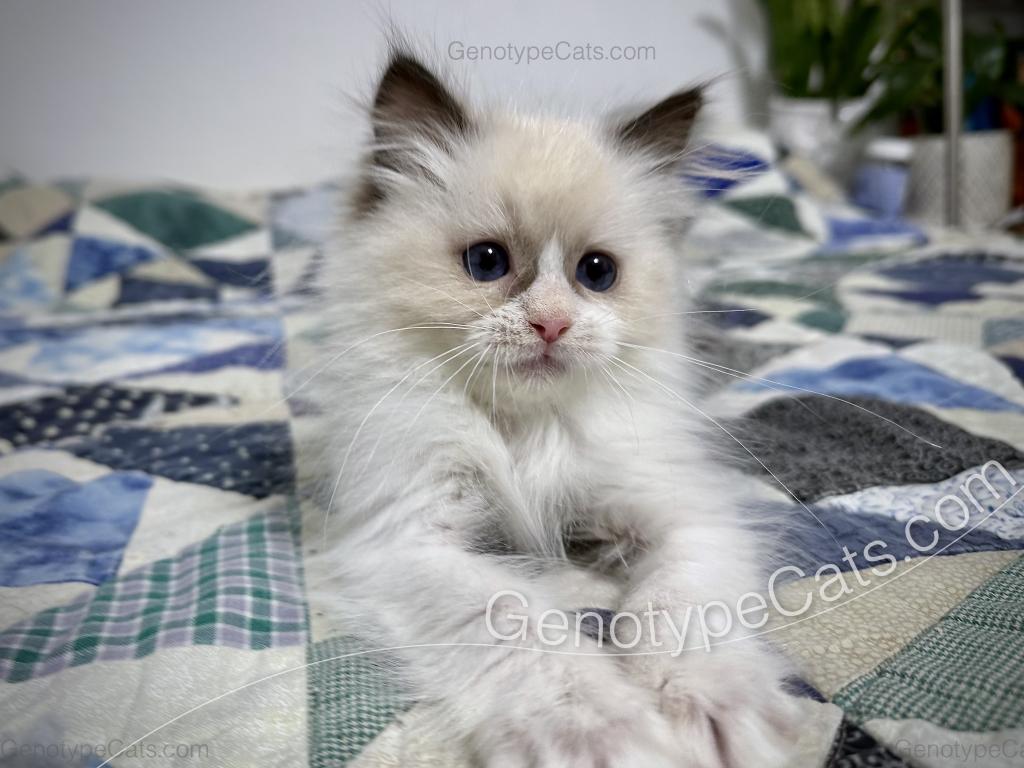 Milly photo 2