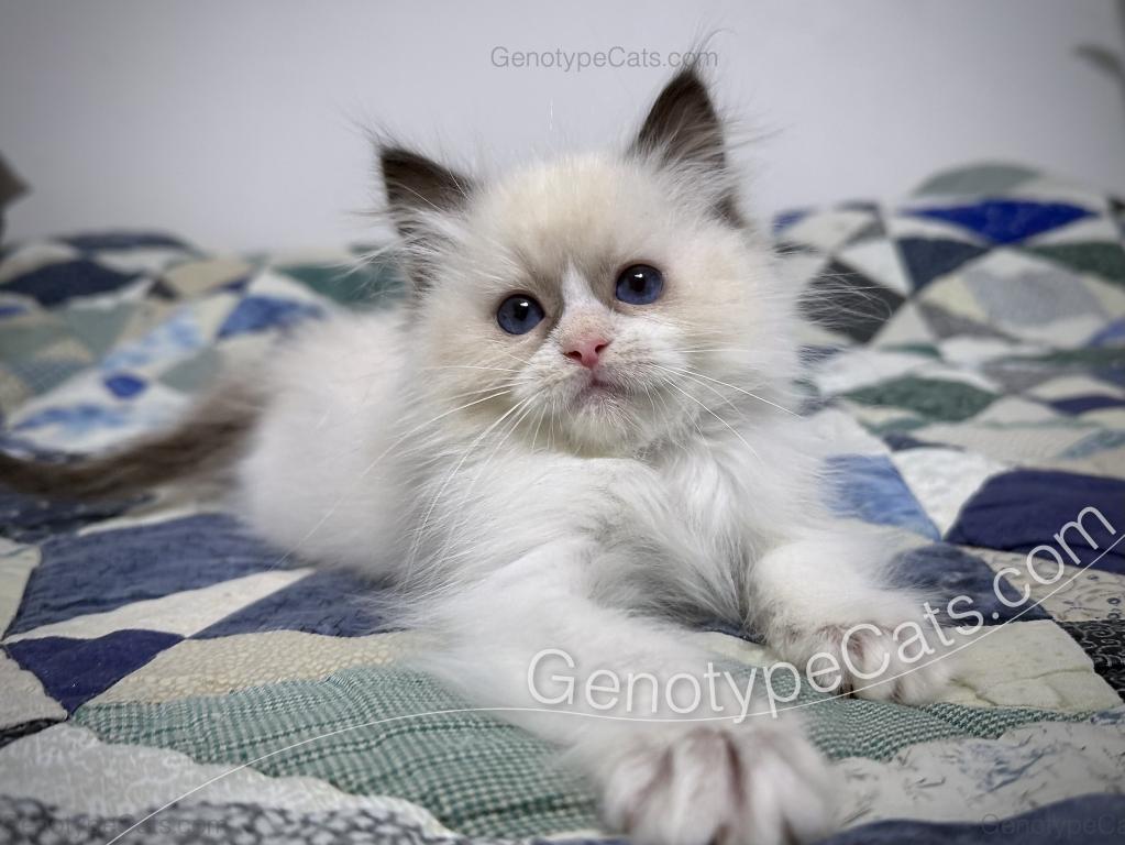 Milly photo 17