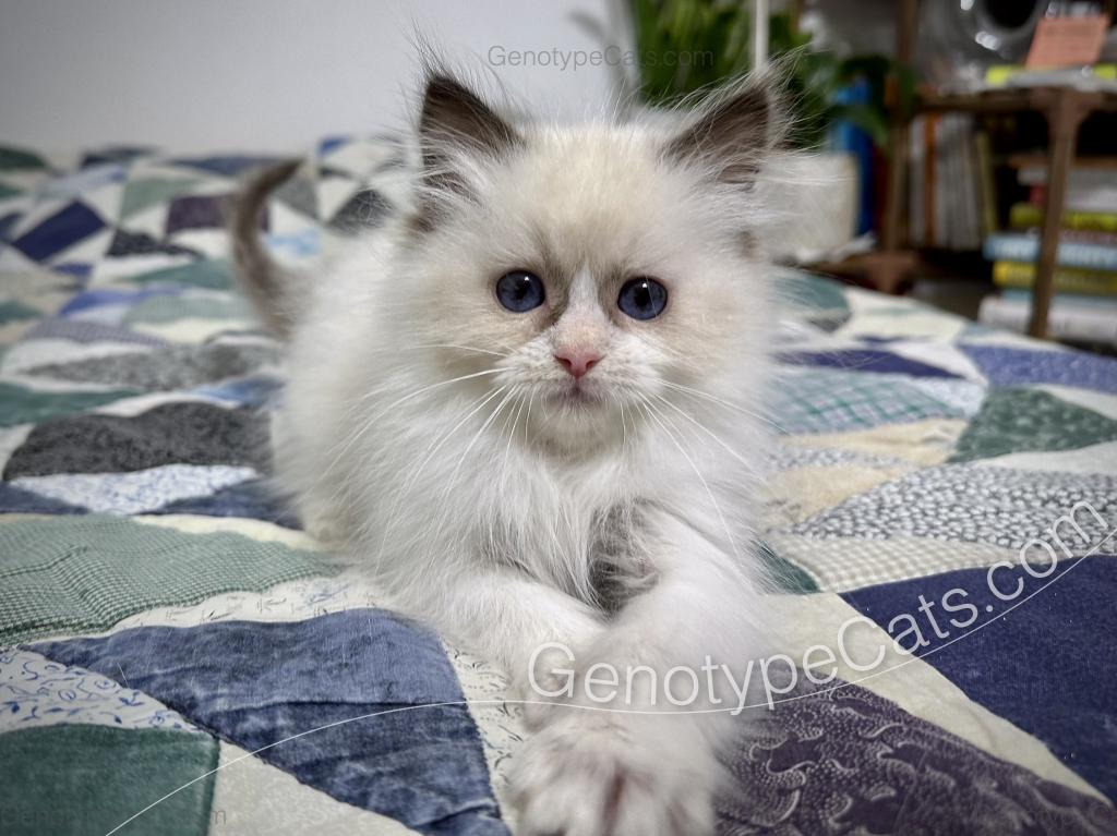 Milly photo 6