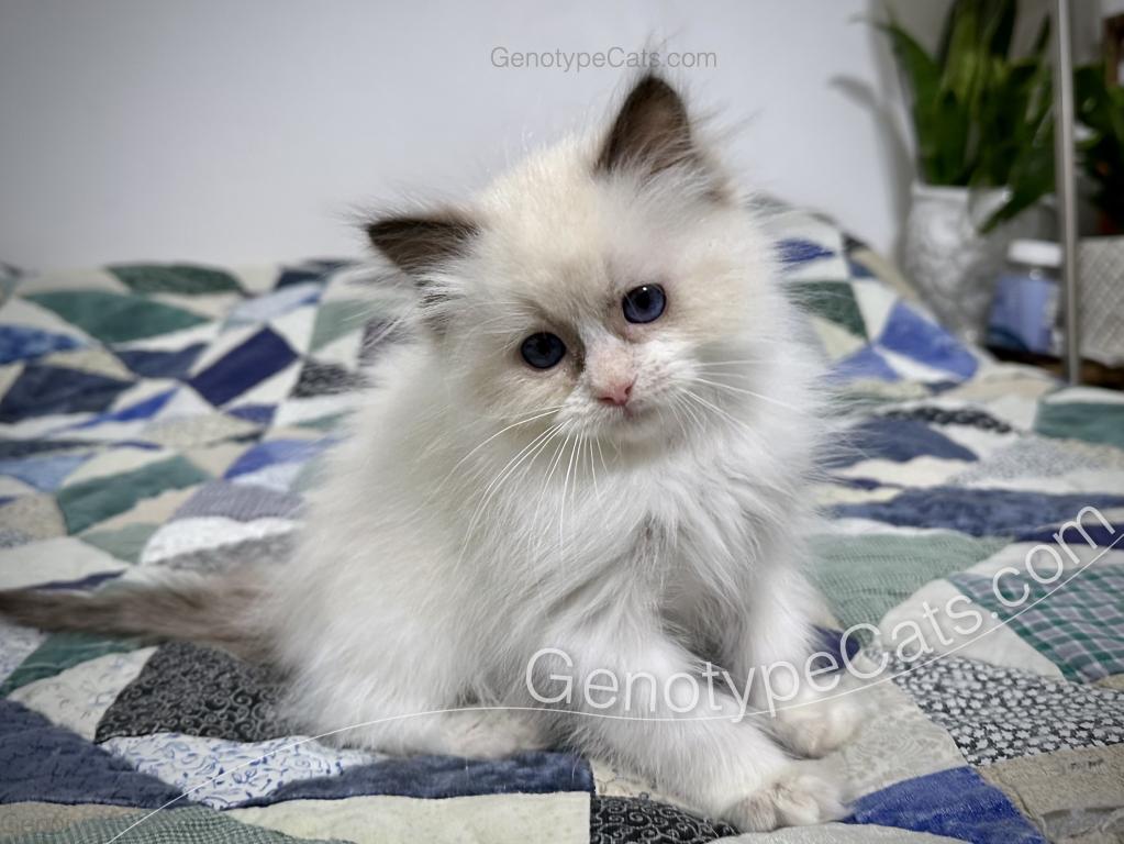 Milly photo 10