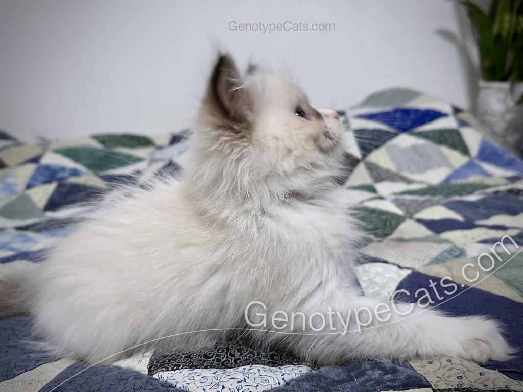 Milly photo 13