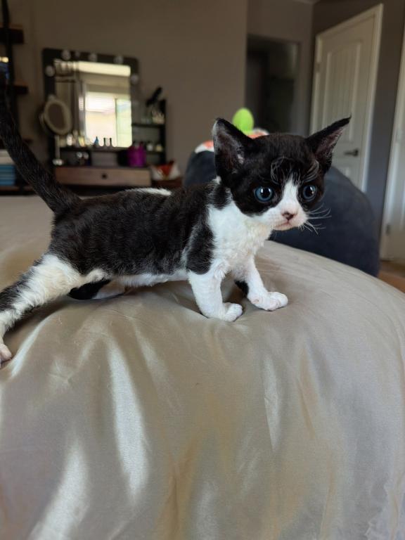 Dottie photo 4