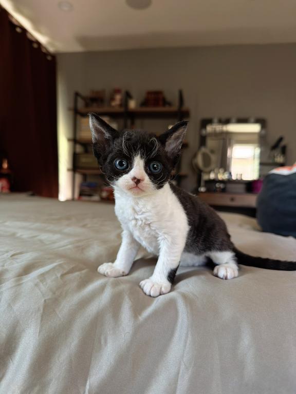 Dottie photo 7