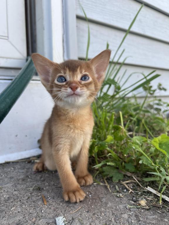 Felix photo 2
