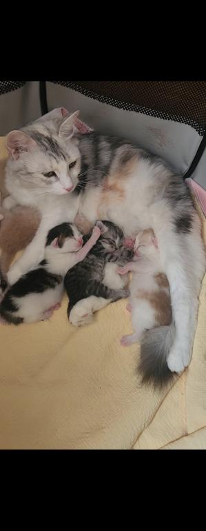 Newborn photo 1