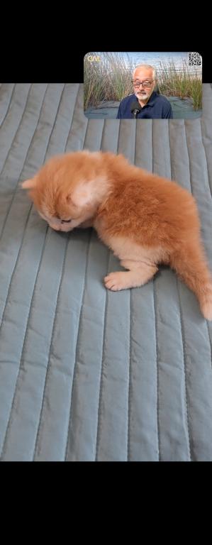 Newborn photo 2