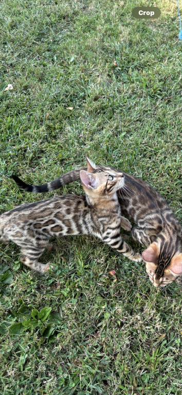 Male And Female photo 2