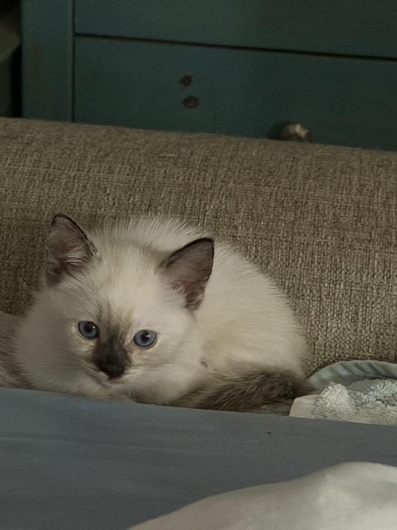 Ella photo 5
