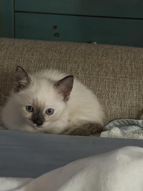 Ella photo 3