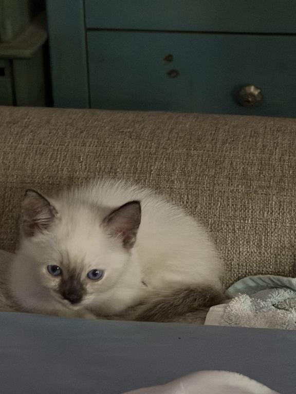 Ella photo 7