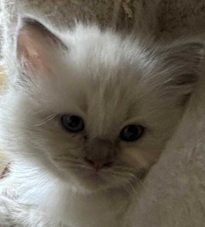 Winnie photo 17